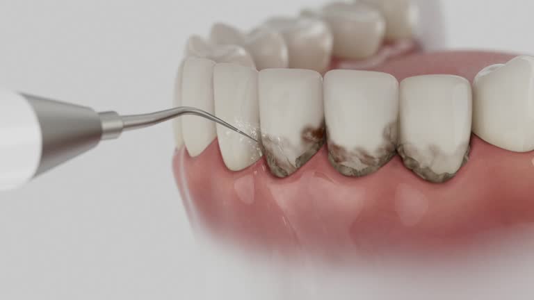 Reliable Dental contractor in Columbus, MT by Dentist Open Now